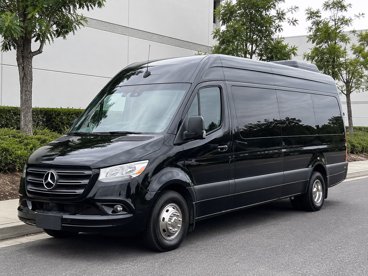 westminster 10 passenger sprinter van